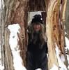 peggyjones157